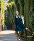 False Collar Dress